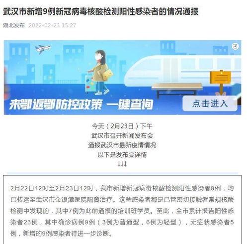 武汉新冠病毒最新爆料,揭秘疫情背后的真相与挑战